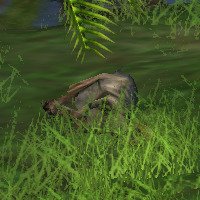 An Pachycephalosaurus laying on the ground, it's head is obscured by some grass, a menu is pulled up displaying its health. It is shown to have died, its cause of death is listed as: dino attack, there are only other herbivores near its body.